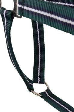 Online horze Halter (Set of 3 pcs) Green