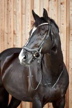 horze Highbury anatomisk hodelag med krystallpannebånd Black