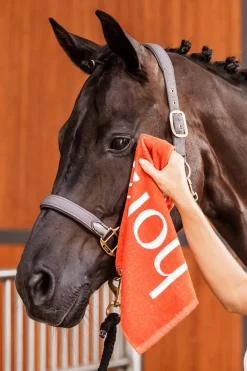 Outlet horze hånd-håndkle RustOrange