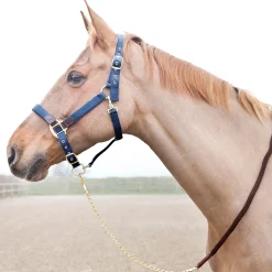 Discount horze Holbrook kjettingleietau DarkBrown