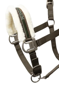 Hot horze Howard grime Olivegreen