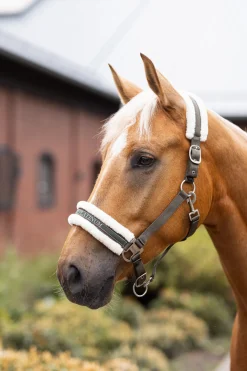 Hot horze Howard grime Olivegreen