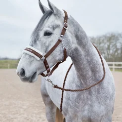 Sale horze Howard mykt leietau DarkBrown