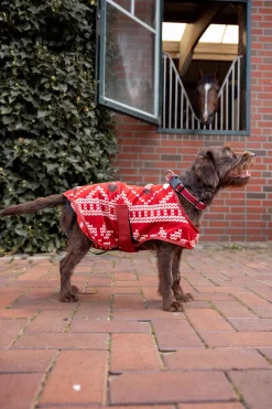 Discount horze julegenser til hund Red