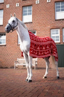 Discount horze juleteppe Red