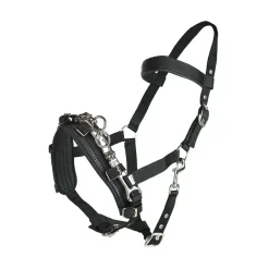 Online horze kapsun Black