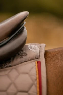 Outlet horze Kenya allroundsjabrak IronGreyBrown