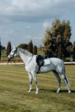 Outlet horze LIMITED EDITION Cooling sjabrak, allround PebbleGrey