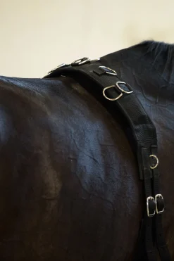 Clearance horze longeringsgjord i nylon Black