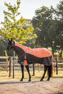 Sale horze Lucerne hals, 250 gram RustOrange