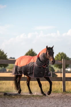 Sale horze Lucerne hals, 250 gram RustOrange