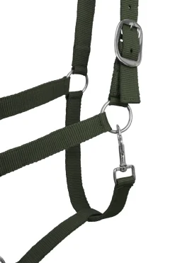 Best horze Moreton grime, leietau og fluefrynser, sett SeaSpray