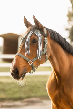 Best horze Moreton grime, leietau og fluefrynser, sett SeaSpray