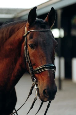 horze Munich pannebånd med krystaller OlivineGreen