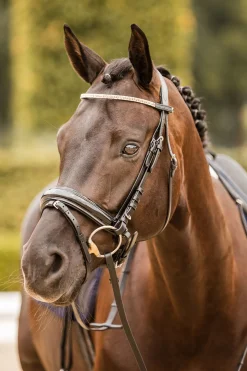 Online horze Nancy Crystal and Wire pannebånd Black/RoseGold