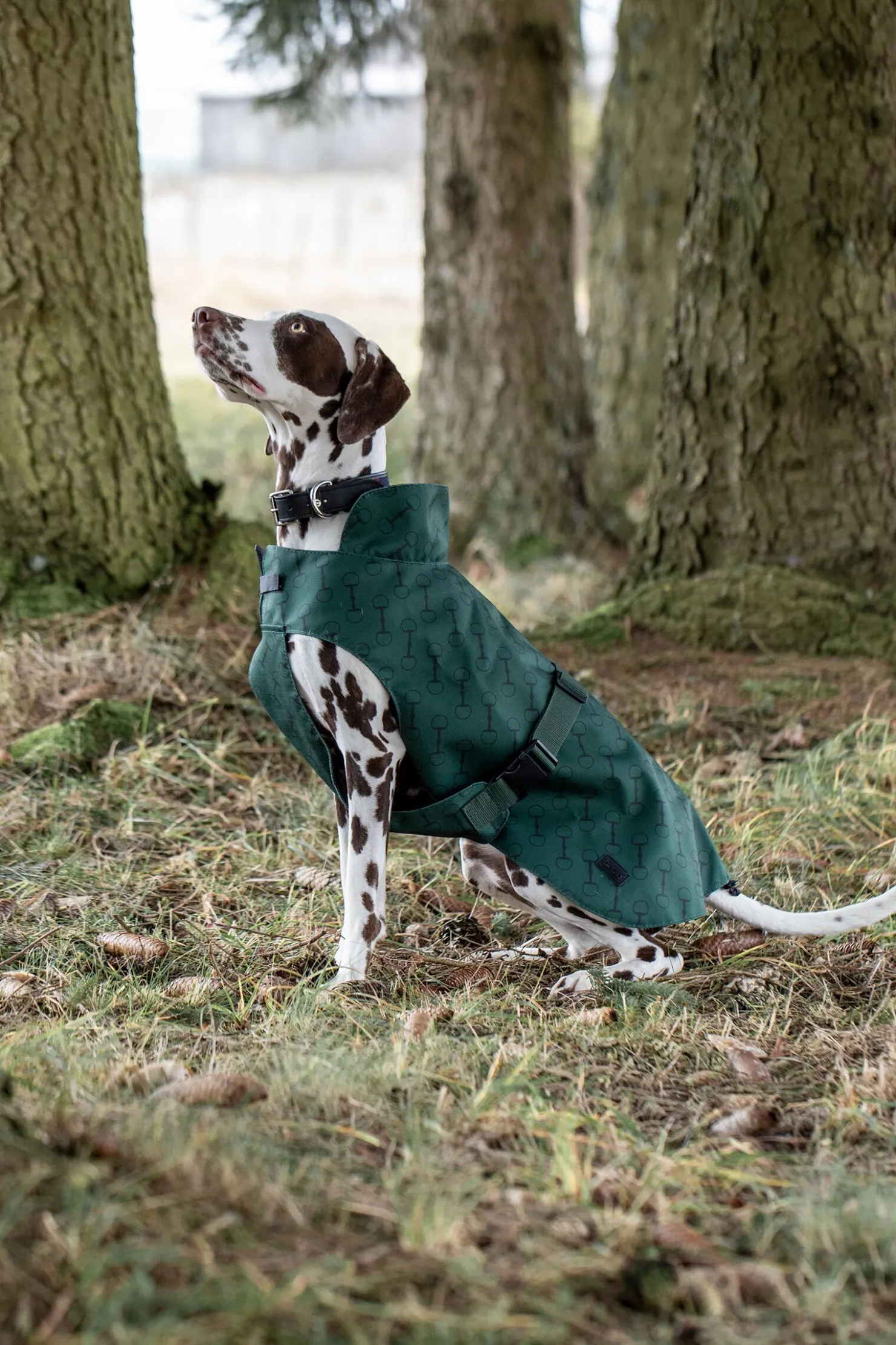 Outlet horze Noir hundedekken med trykk MountainViewGreen