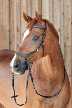 New horze Orlando kombinert anatomisk bittløst hodelag Black