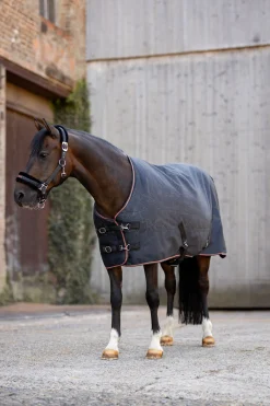 Sale horze Pegasus ponnidekken 200 g/m² Caviar