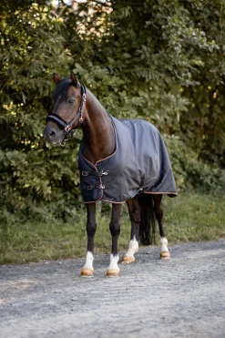 Outlet horze Pegasus ponnidekken med fleecefôr Caviar