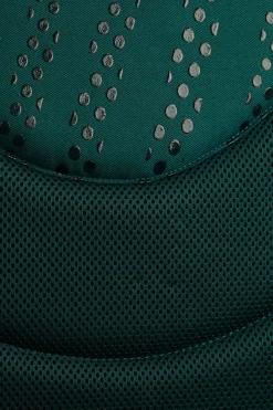 Online horze Phoenix dressursjabrak StormGreen