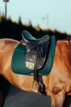 Online horze Phoenix dressursjabrak StormGreen