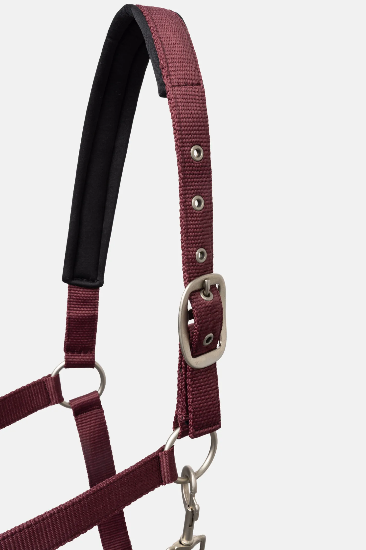 Sale horze Physical Sophistication grime, sett Burgundybrown