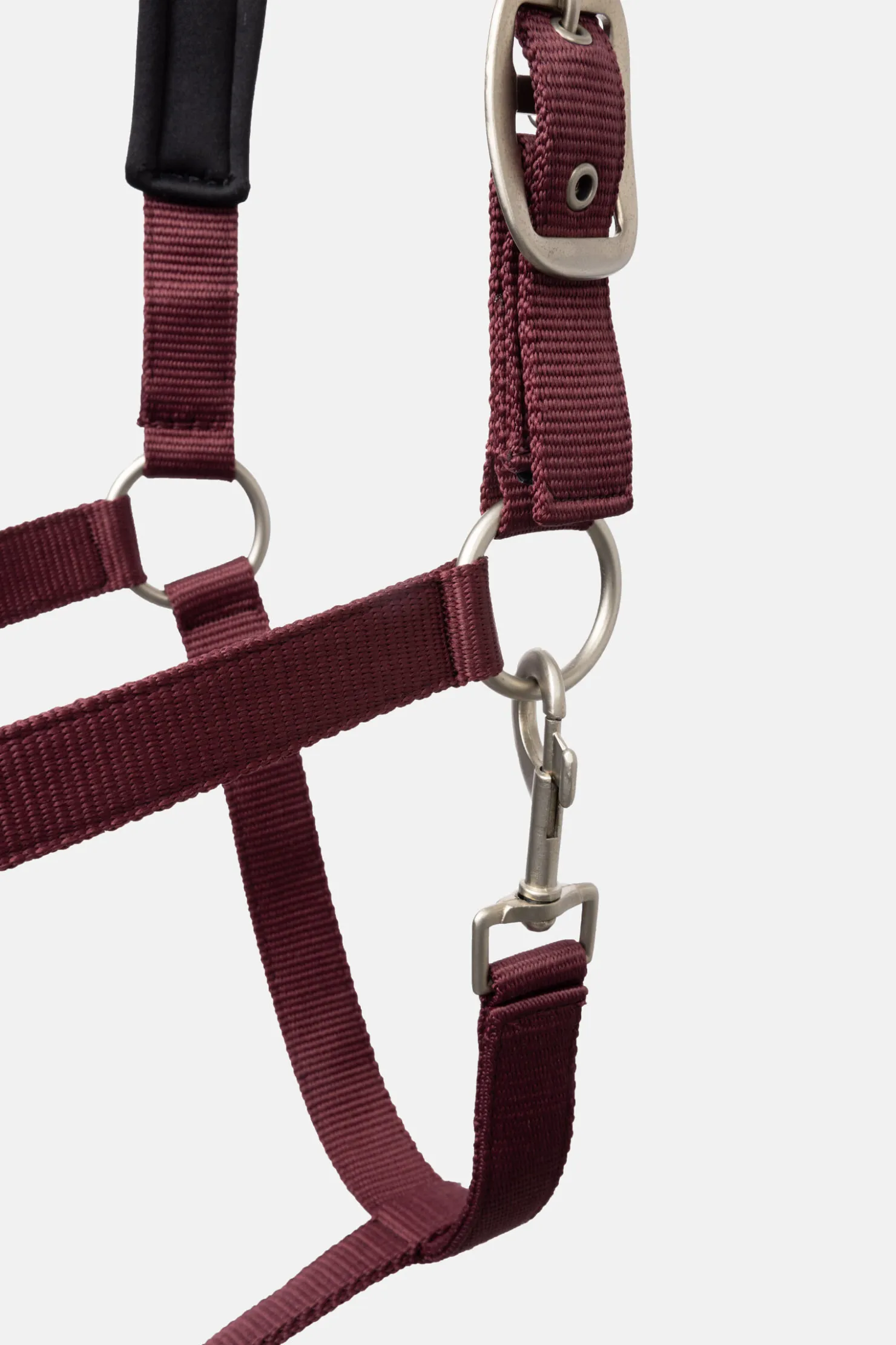 Sale horze Physical Sophistication grime, sett Burgundybrown