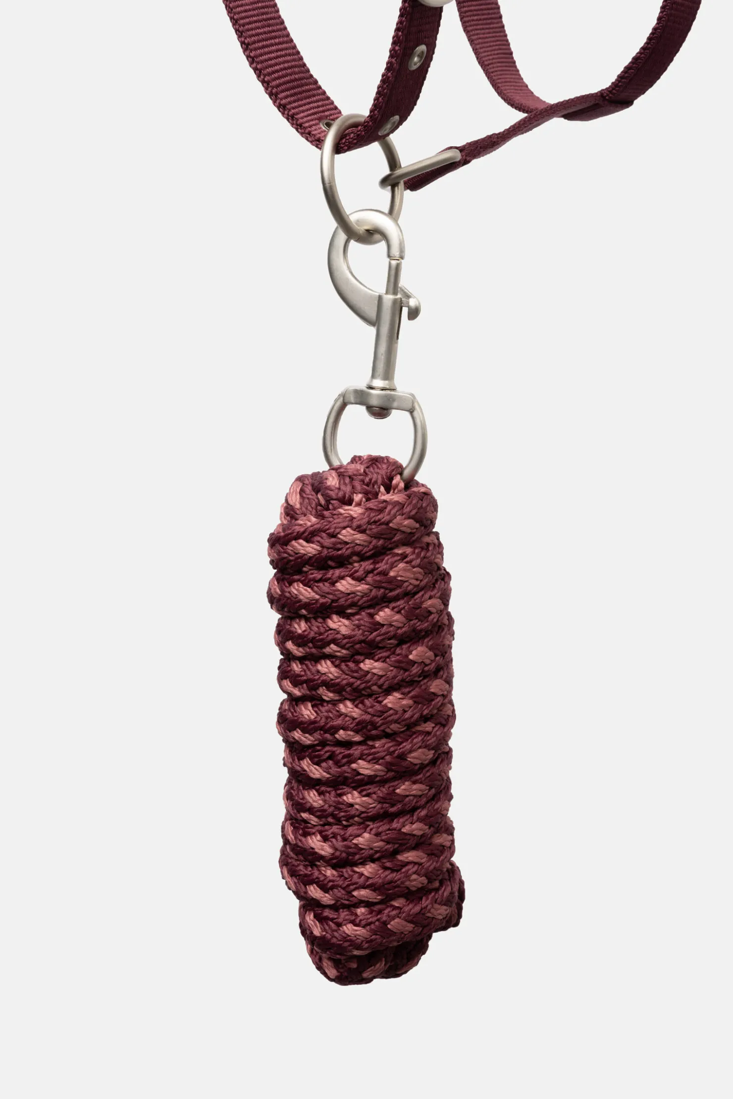 Sale horze Physical Sophistication grime, sett Burgundybrown