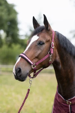 Sale horze Physical Sophistication grime, sett Burgundybrown