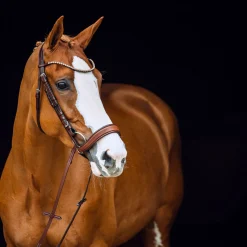 Outlet horze Positano Hannover anatomisk hodelag Brown