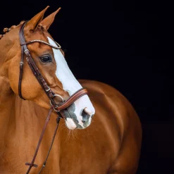 Outlet horze Positano Hannover anatomisk hodelag Brown