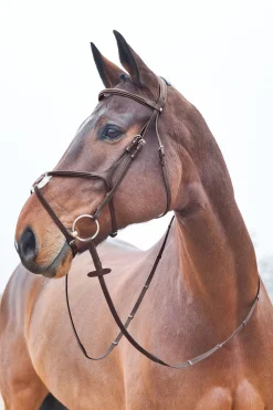 horze Prescott hodelag med kryssnesereim Brown