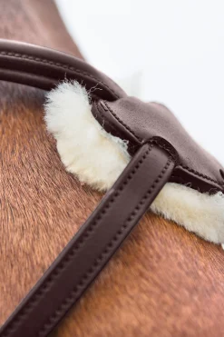 horze Prescott hodelag med kryssnesereim Brown