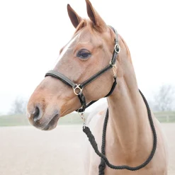 horze Price-Z leietau Black