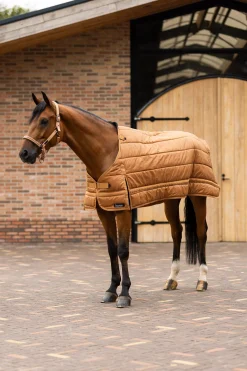 Online horze Quebec liner, 200 gram BiscuitBrown