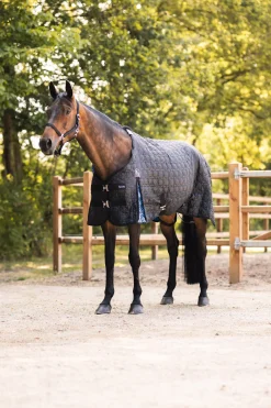 Discount horze Quebec stalldekken, 100 gram CaviarBlack