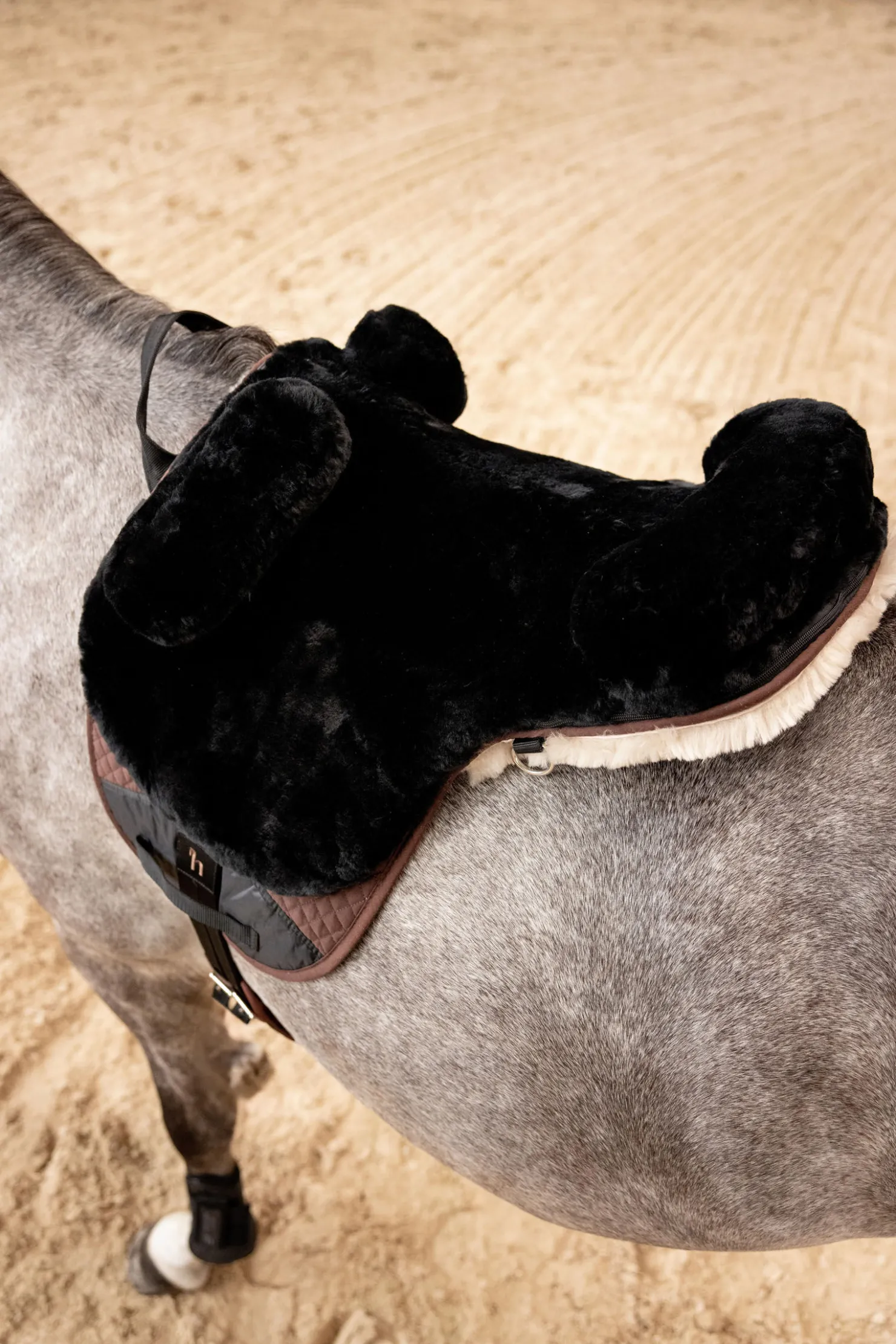 horze ridematte i sauefell Black