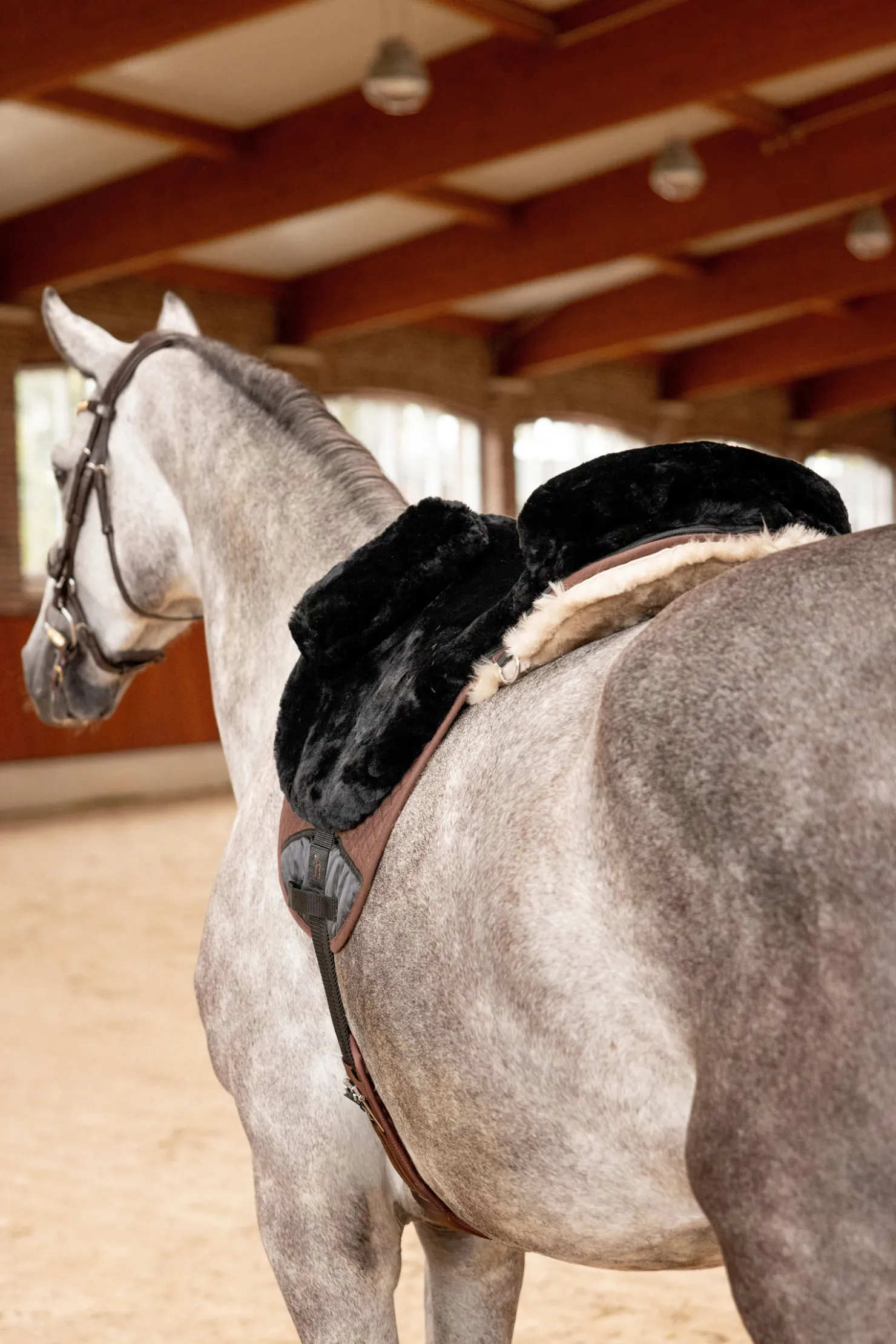 horze ridematte i sauefell Black