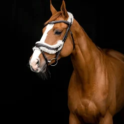 Outlet horze Rome anatomisk hodelag DarkBrown