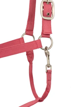 Best horze Rose Tonique grime FruitDove