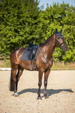 Online horze Sandnes dressursjabrak DarkNavy