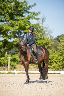 Online horze Sandnes dressursjabrak DarkNavy