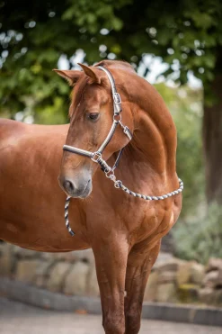 Discount horze Sandnes grime og leietau, sett DarkNavy/PeyoteBeige