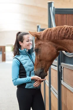 Clearance horze Shelly lett vattert vest, dame ArticIce