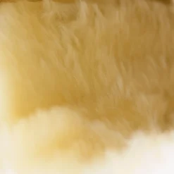 Hot horze Signature stryksokker Black