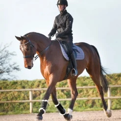 Hot horze Signature stryksokker Black