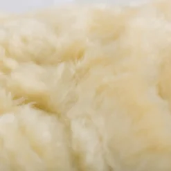 Hot horze Signature stryksokker Black