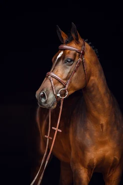 Clearance horze Sion hodelag med tøyler Brown