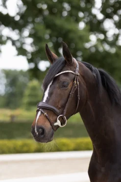 horze Somerset anatomisk hodelag DarkBrown