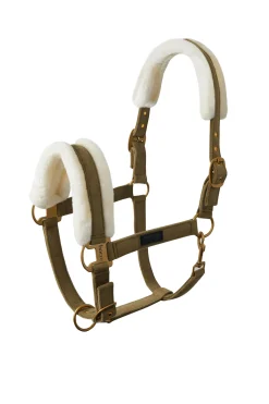 Clearance horze St. Moritz grime FirGreen